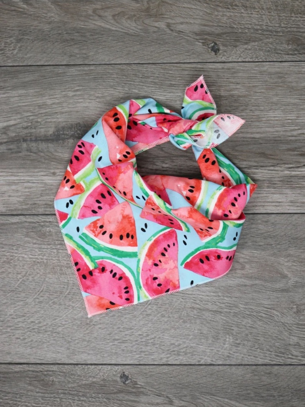 Watermelon Dog Bandana